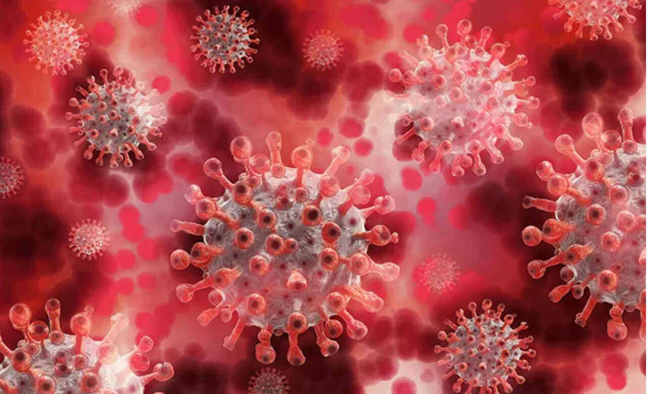 Scientists Identify New Antibody For Covid Variants Report Editor99